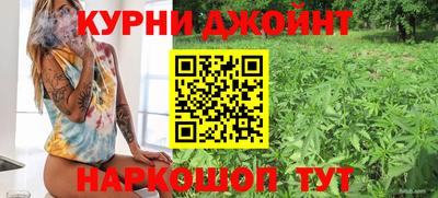 СК Владивосток